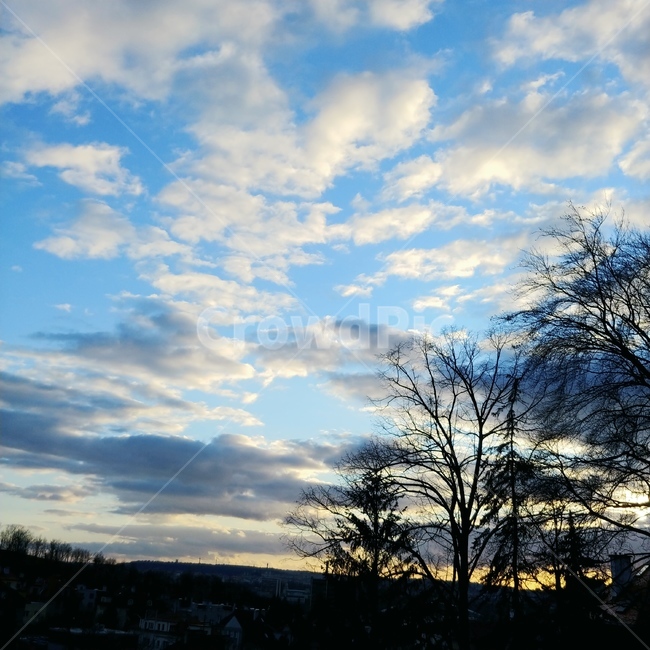하늘,맑은하늘,구름,나무,겨울하늘,nature,자연,sky,outdoor