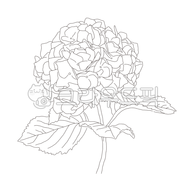 꽃,수국,봄,꽃다발,부케,라워,그림,손그림,스케치,꽃잎,잎,꽃집,꽃가게,자연,피다,장식,정원,식물,로맨틱,신선한,아름다움,아이콘,일러스트,그래픽,디자인,귀여운,클립아트,아트,디자인소스,벡터,컨셉,오브젝트,뷰티,flower,hydrangea,frenchhydrangea,spring,blossom,floral,bouquet,orist,painting,handdrawing,sketch,petal,leaf,nature,bloom,garden,plant,flowershop,flora,romantic,fresh,beautiful,icon,illustration,graphic,design,cute,clipart,art,designsource,vector,symbol,isolated,sign,concept,blooming,abstract,natural,object,beauty,botanical,drawing,decoration