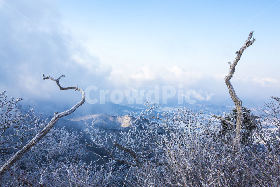 상고대,풍경,눈꽃,자연,얼음꽃,겨울,계절,winter,season,자연,풍경,nature,landscape,한국자연풍경,한국자연경관,korea nature landscape,outdoors,옥외,ice,빙,snow,눈,frost,서리