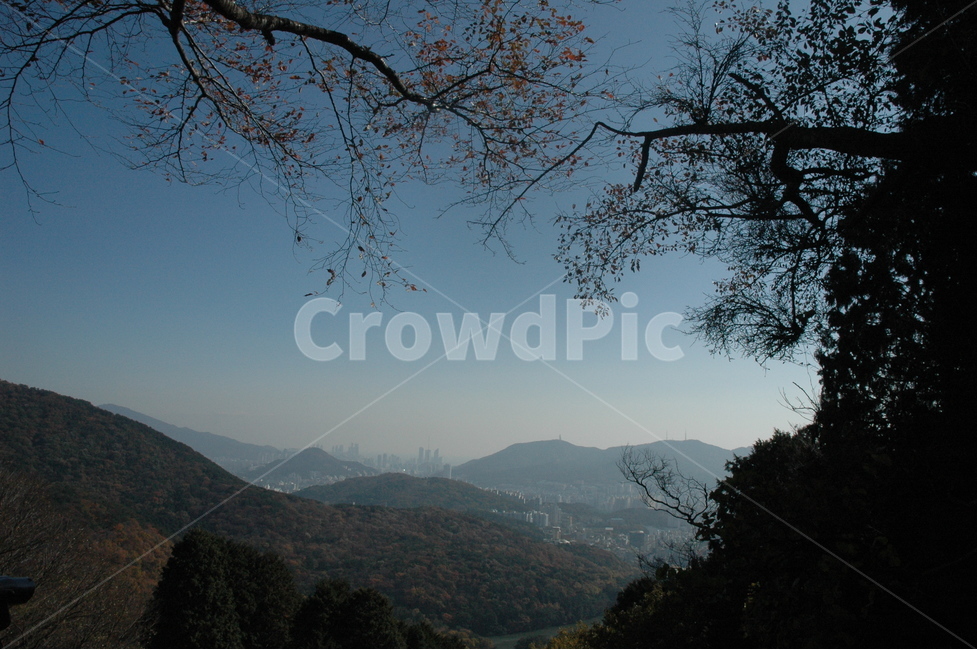 자연,단풍,나무,풍경,힐링,가을,계절,fall,autumn,season,자연,풍경,nature,landscape,한국자연풍경,한국자연경관,korea nature landscape,outdoors,옥외