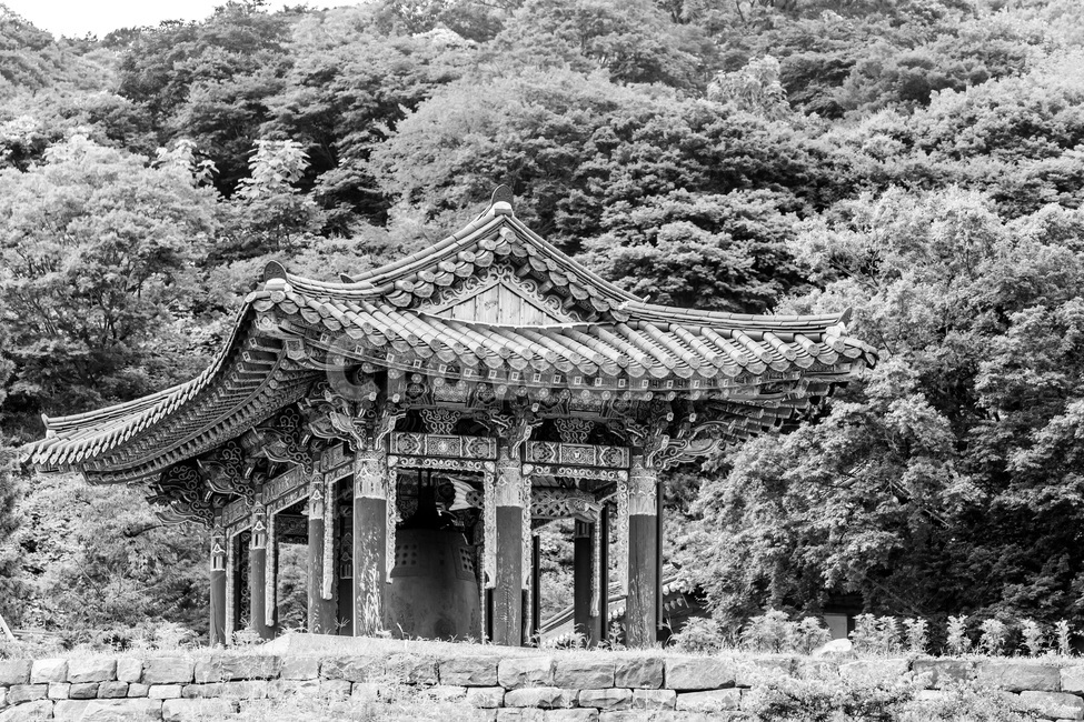 칠장사,고찰,처마,단청,종각,문화유산,한국전통,한국문화,korean traditional,korean culture,종교,신앙,religion,belief,faith,흑백,모노톤,monochrome,black and white