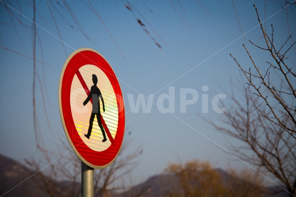 겨울,감성,필름,추움,무지개,표지판,교통,교통수단,traffic,transportation