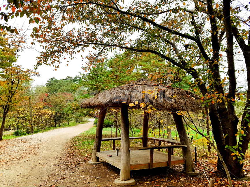 정자,쉼터,가을,낙엽,나무,풍경,가을,계절,fall,autumn,season,자연,풍경,nature,landscape,한국자연풍경,한국자연경관,korea nature landscape