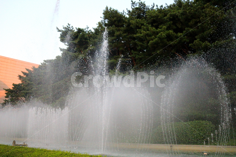 분수,분수대,물,공원,예술의전당,나무,소나무,자연,풍경,nature,landscape,water