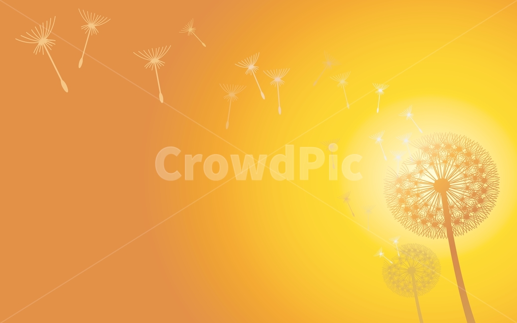 atmosphere,seed,color,Spring background,yellow,backlight,March,emergency,sunset light,april,sun,spring,spring flowers,white,season,Emotion,gradation,graphic,sensible,Dandelion seeds,feeling,sunlight,emotion,White,blue,cover background,light,background,pla