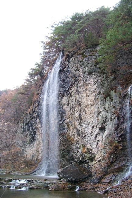 폭포,바위,인공폭포,절벽,폭포수,산림,자연,수직낙하,계곡,한국풍경,암벽,소나무,숲,수변,청량함,시원함,물줄기,웅장함,여행,관광지,가을,물안개,물보라,청정지역,풍경사진,자연경관,산수경관,휴양지,물소리,고요함,평온함,바위절벽,산책로,힐링,나무,자연보호,물놀이,계절감,명소,바위틈,자연,풍경,nature,landscape,river,강,물,outdoors,옥외