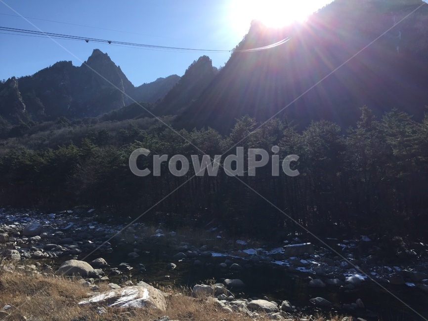나무,길,하늘,산,풍경,자연,풍경,nature,landscape,light,빛,flare,플레어