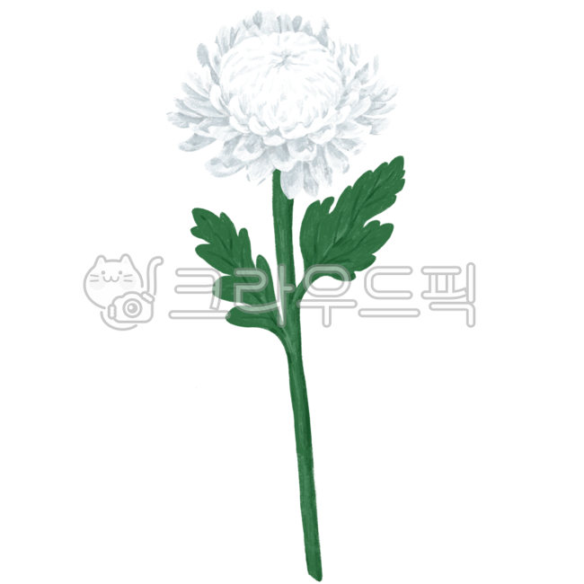 국화,흰국화,라인드로잉,꽃,꽃일러스트,국화그림,국화이미지,국화일러스트,국화디자인,국화꽃,추모,죽음,장례,애도,명복,고인,삼가,위로,상조,식물,flower,chrysanthemumflower,하얀국화