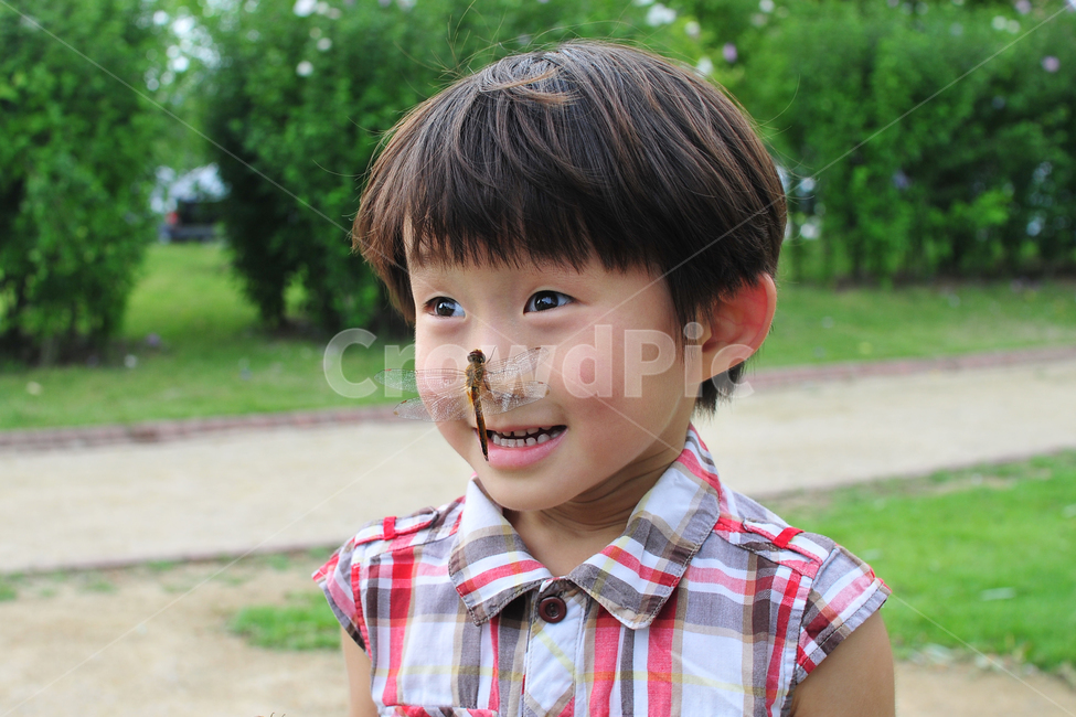 잠자리,순간,포착,곤충,야외,놀람,표정,미소,동물,animal,곤충,벌레,insect,bug,사람,인물,인간,human,person,얼굴표정,facial expression,face,어린이,어린아이,child,children,kid
