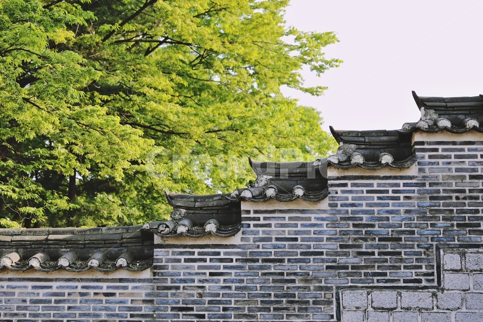 돌담,기와,기와돌담,한옥,한식,벽돌,tree,brick,plant,한국전통,한국문화,korean traditional,korean culture,건축물,건물외관,exterior,building,structure,architecture,construction