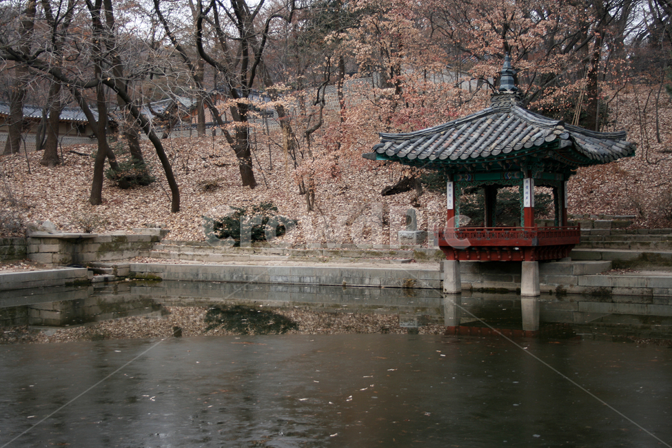 창덕궁,후원,애련정,세계문화유산,문화유산,한국,한국전통,한국문화,korean traditional,korean culture,랜드마크,landmark,tourist attraction,한국랜드마크,한국관광지,한국명소,korea landmark,korea tourist attraction