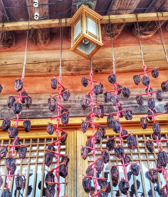 곶감,전통음식,한국음식,먹거리,food,korea,fruit,문,과일,건과일,건시,줄,전등,나무,목재,추석,설,음식,식재료,요리,food,cook,meal,dishes,food reserves,과일,열매,fruit