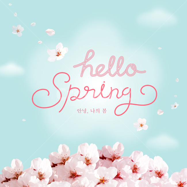 벚꽃,캘리,캘리그라피,손글씨,붓글씨,펜글씨,영문캘리,꽃,꽃잎,봄꽃,봄,계절,시즌,프레임,템플릿,탬플릿,봄,계절,spring,season,그래픽,일러스트레이션,graphic,illustration
