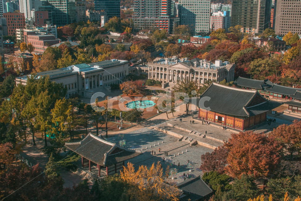 낙엽,도심,가을,단풍,덕수궁,등산,outdoors,옥외,landscape,경치,nature,자연,scenery,풍경,city,건물,building,어반,urban,시티,town,도시,downtown,한옥,가을,계절,fall,autumn,season,한국전통,한국문화,korean traditional,korean culture,랜드마크,landmark,tourist attraction,한국랜드마크,한국관광지,한국명소,korea landmark,korea tourist attraction