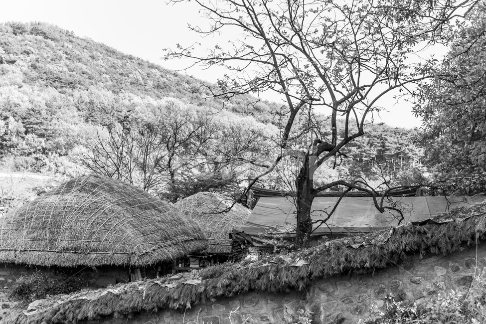 전통가옥,초가집,문화유산,한국의미,담벼락,돌담,시골,마을,풍경,landscape,country,rural,town,한국전통,한국문화,korean traditional,korean culture,흑백,모노톤,monochrome,black and white