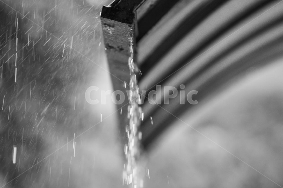 비,처마,빗물,물줄기,여름,장마,비,비오는날,rain,rainy,흑백,모노톤,monochrome,black and white