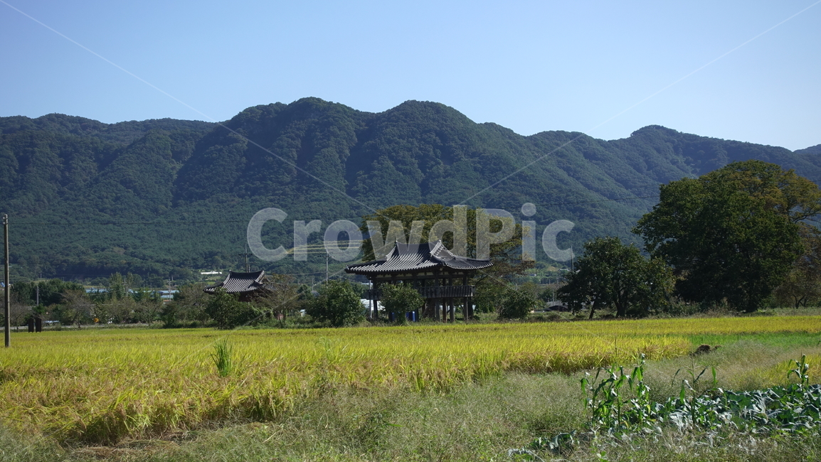 하늘,가을,논,밭,autumn,nature,자연,outdoors,옥외,산,산맥