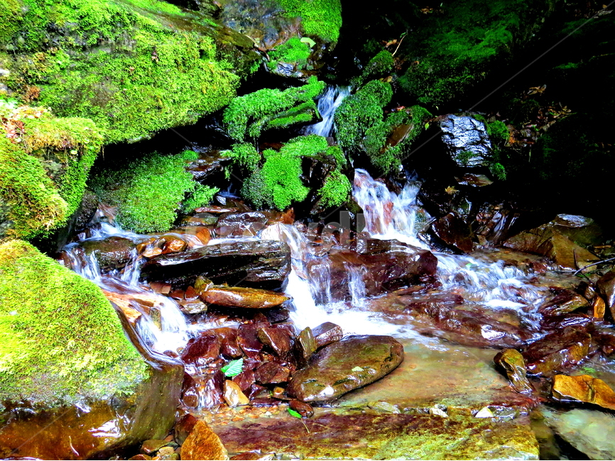 이끼계곡,풍경,자연,돌,물,자연,풍경,nature,landscape,water