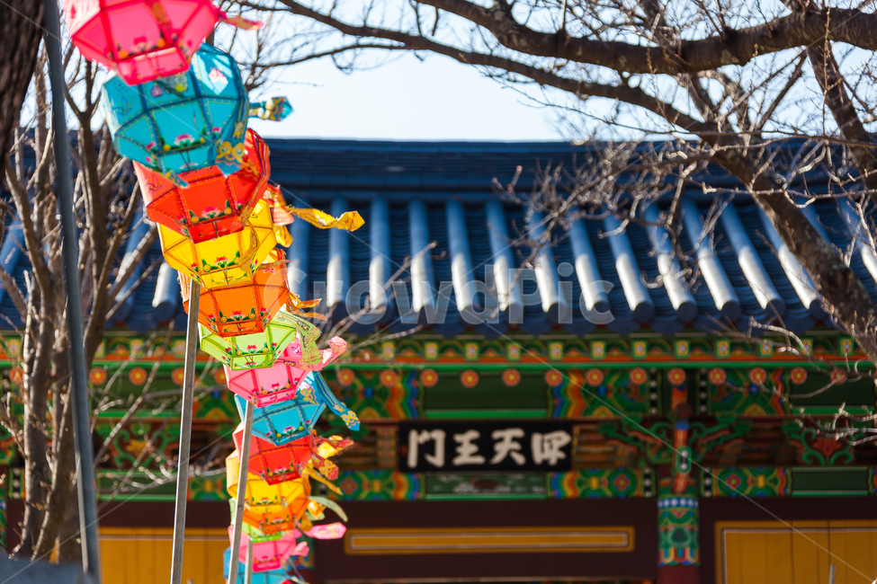 절,고대,불교,역사,낙산사,종교,신앙,religion,belief,faith