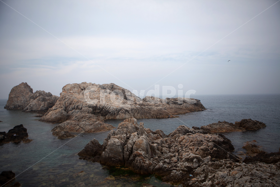 sea,wave,ocean,horizon,nature,바다,암초,파도,수평선,rock,바위,돌,동해,삼척,장호항,자연,풍경,nature,landscape