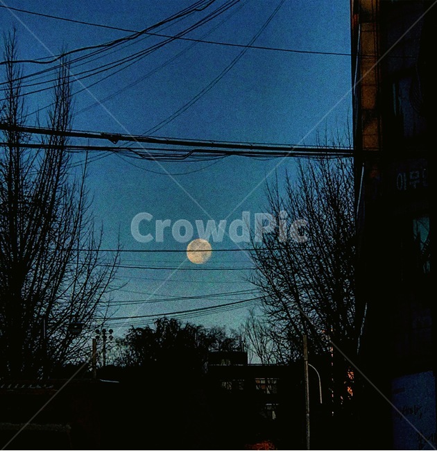새벽,달,하늘,보름달,새벽달,야경,밤,풍경,nightscape,night,landscape,nature,자연,outdoors,옥외,universe,우주,moon,astronomy,천문학,outer space,대기권 밖