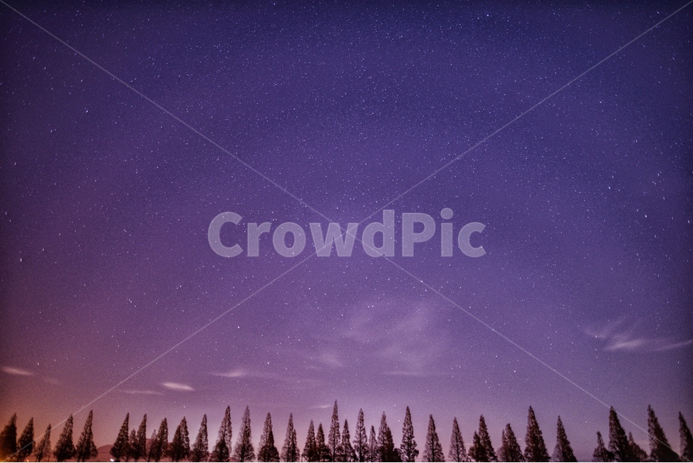 풍경,야경,별,은하수,가로수,자연,풍경,nature,landscape,야경,밤,nightscape,night,outdoors,옥외