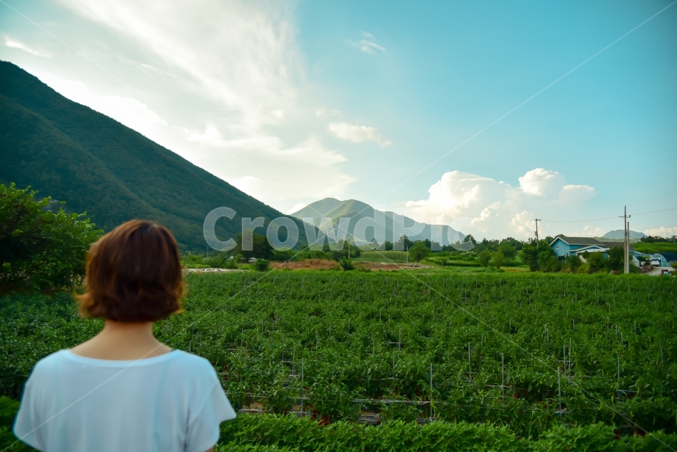 인물사진,모델,산,하늘,구름,밭,맑음,청량함,깨끗함,시골,마을,풍경,landscape,country,rural,town,사람,인물,인간,human,person,여성,여자,woman,female,lady