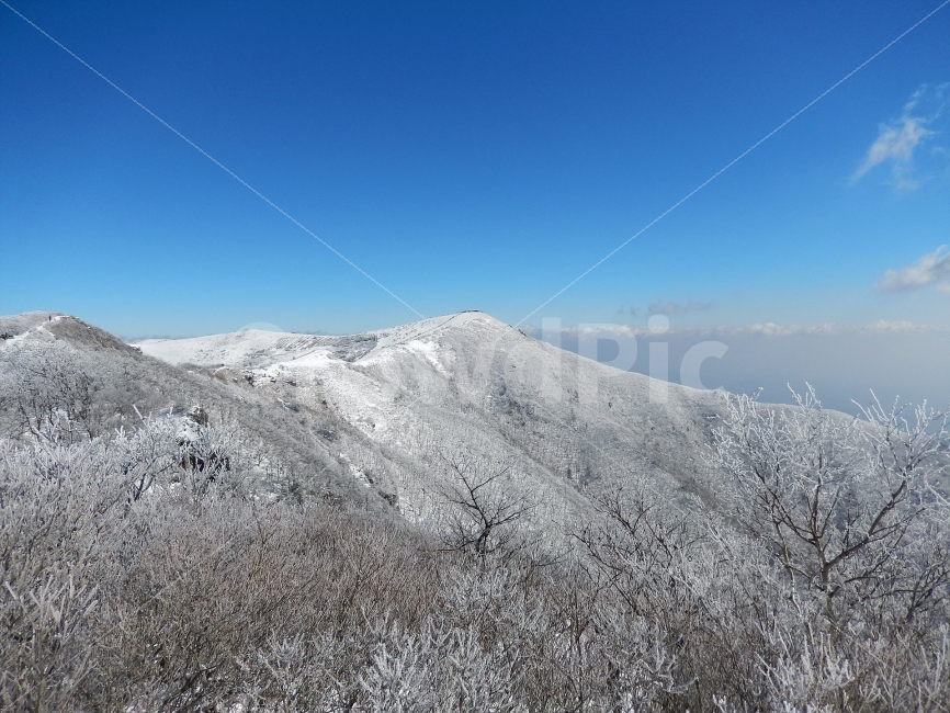 소백산,눈꽃풍경,상고대,겨울풍경,국립공원,겨울동화,힐링,감성,아름다움,뷰티풀,설국,눈풍경,파란하늘,100대명산,겨울명산,설경,서리꽃,영동,snow,landscape,눈,화이트,자연,신비로운,경이로운,천상,비경,치유,산,명산,겨울,계절,winter,season,자연,풍경,nature,landscape,한국자연풍경,한국자연경관,korea nature landscape,mountain,outdoors,옥외,mountain range,산맥,ice,얼음