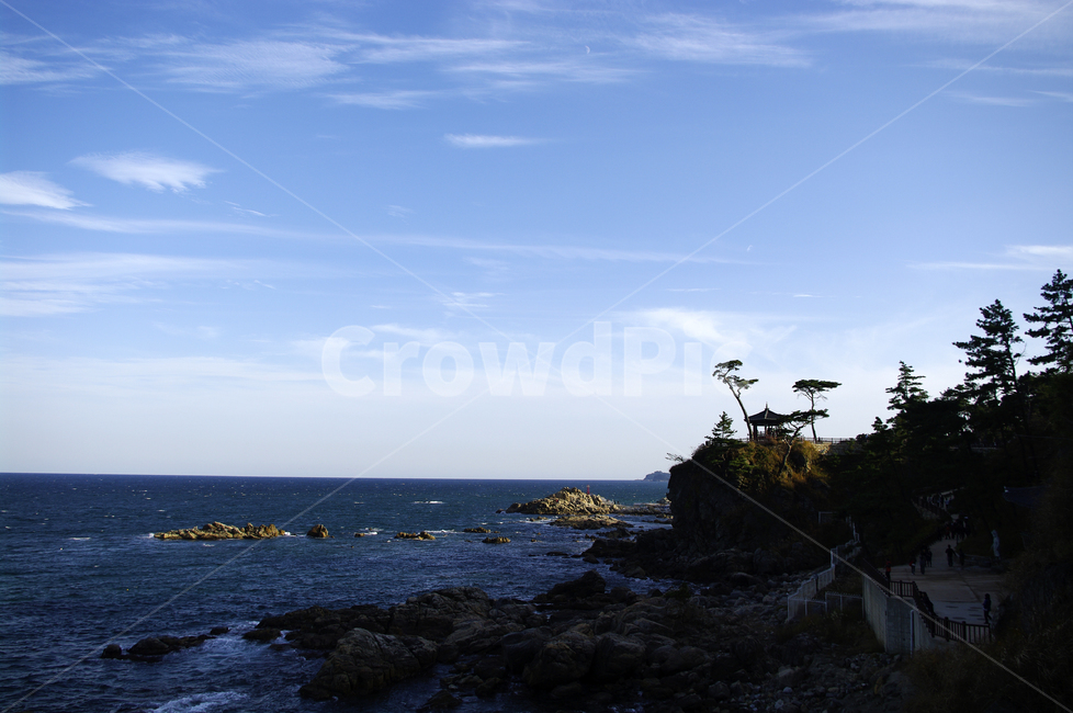 풍경,하늘,소나무,구름,정자,바다,자연,풍경,nature,landscape,한국자연풍경,한국자연경관,korea nature landscape,outdoors,옥외,land,땅,architecture,건축물,building,건물,tower,탑