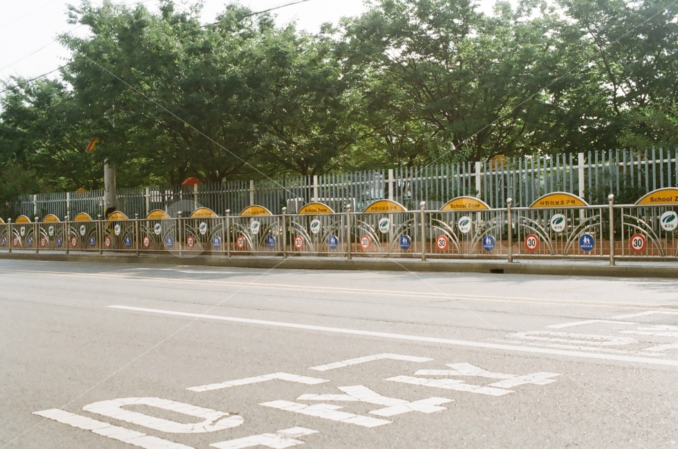 일상,풍경,배경,색감,감성사진,도로,길,초등학교,교통,교통수단,traffic,transportation,감성,sensible,feeling,asphalt,아스팔트,road
