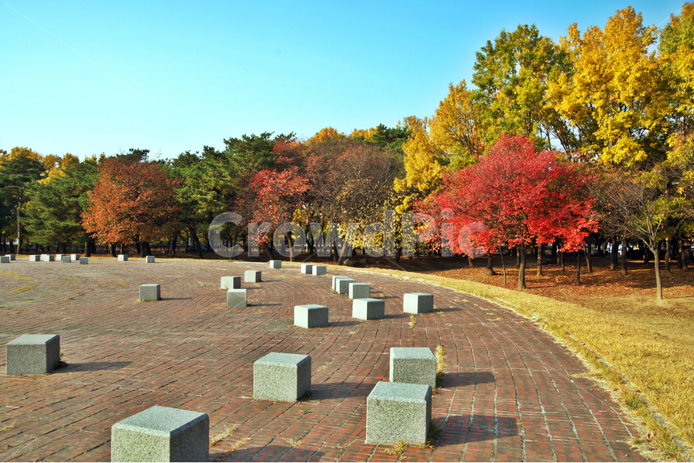 단풍,가을,붉은잎,계절,공원,나무,쉼터,가을,계절,fall,autumn,season,자연,풍경,nature,landscape