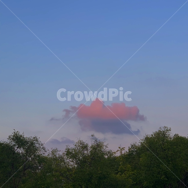 구름,하늘,노을,나무,선셋,저녁,아경,sky,cloud,tree,nature,자연,weather,날씨,옥외,outdoors