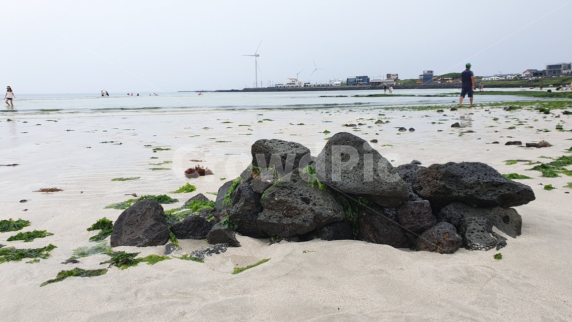 제주해변,제주도,제주바다,jeju,화산석,현무암,바다