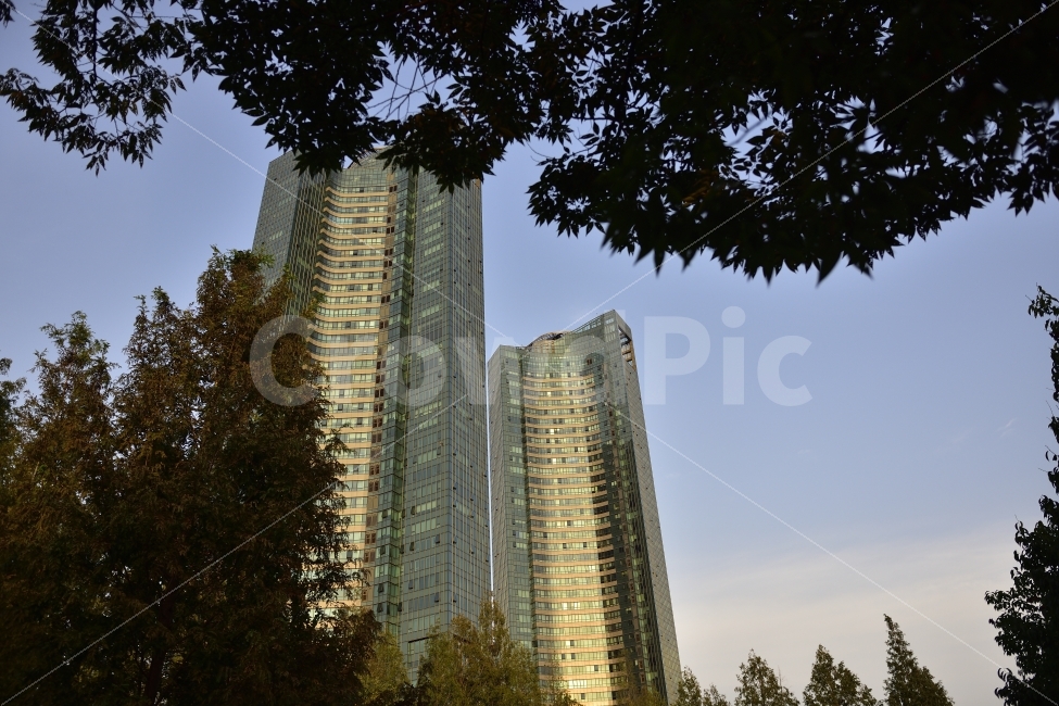 빌딩,건물,자연,도심,휴식,healing,도시,풍경,city,landscape,건축물,건물외관,exterior,building,structure,architecture,construction,office building,사무실 건물