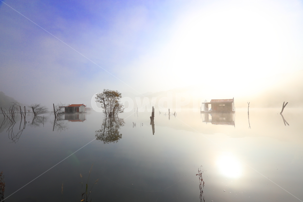 nature,자연,안개,fog,문광,낚시터,자연,풍경,nature,landscape
