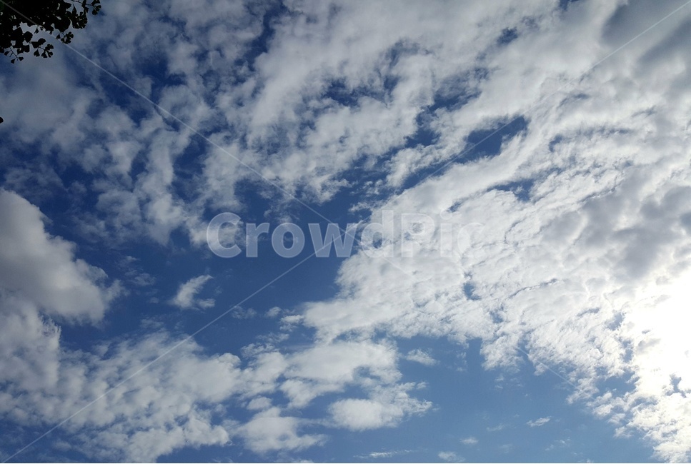 하늘,구름,sky,cloud,blue,맑은,sunny,자연,natural