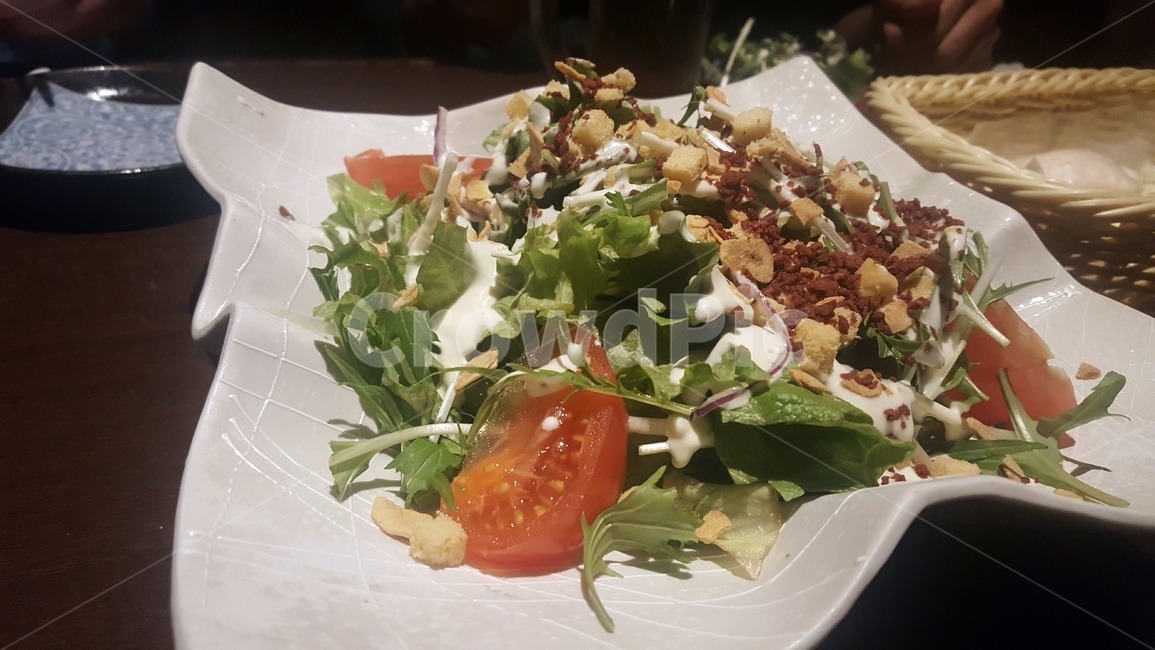 샐러드,시저샐러드,후식,food,meal,salad,음식,식재료,요리,food,cook,meal,dishes,food reserves
