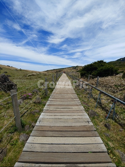 산,하늘,풍경,등산로,들판,mountain,sky,clouds,green,초록,등산,한라산,배경,trail,walkway,데크