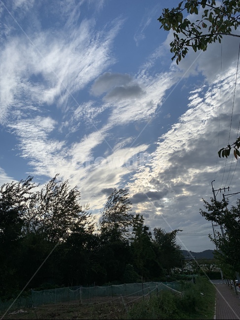 하늘,구름,sky,cloud,숲,나무,경치,nature,자연,tree,plant,식물