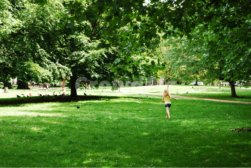 공원,park,grass,잔디,outdoors,child,run,여가,자연,풍경,nature,landscape,plant,식물,옥외,lawn