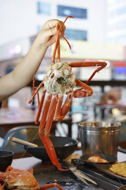 먹방,대게,홍게,붉은대게,음식,게,게찜,행복,푸드,게살,빅,손,라지,크랩,식사,사람,인물,인간,human,person,음식,식재료,요리,food,cook,meal,dishes,food reserves,수산물,해산물,fishery products,seafood