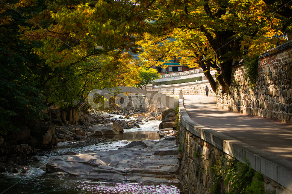 절풍경,절,사찰,사찰풍경,풍경,통도사,계곡,한국전통,한국문화,가을풍경,불교,종교,가을,계절,fall,autumn,season,자연,풍경,nature,landscape,한국전통,한국문화,korean traditional,korean culture,walkway,보도,path,통로,flagstone,판석,slate,슬레이트
