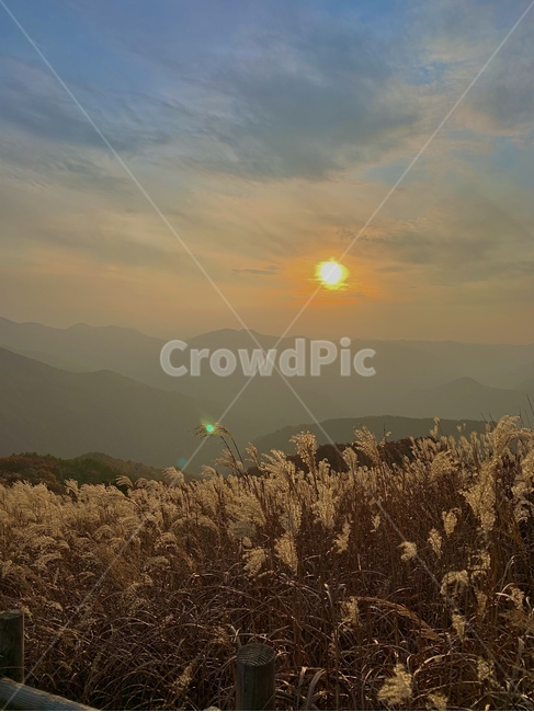 nature,자연,억새,억새풀,갈대,일몰,sunset,풍경,하늘,가을,계절,fall,autumn,season