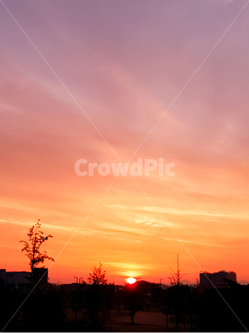 일출,해,풍경,구름,아침,도시,풍경,city,landscape,실루엣,그림자,silhouette,shadow,색깔,색상,색채,색감,color sense,color sensitivity,feeling of color,nature,자연,outdoors,옥외