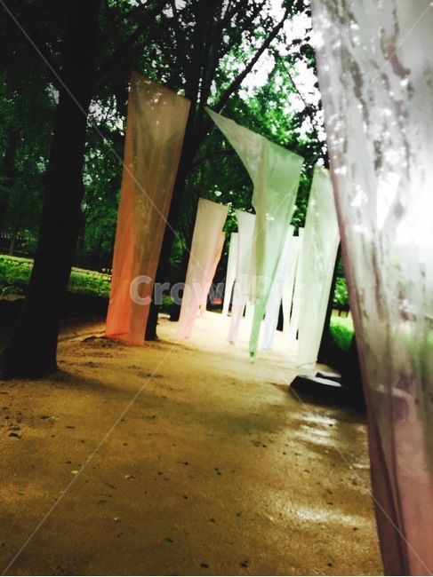 마당,염색,천,나무,바람,숲,건조,길,염색천,산들바람,흙길