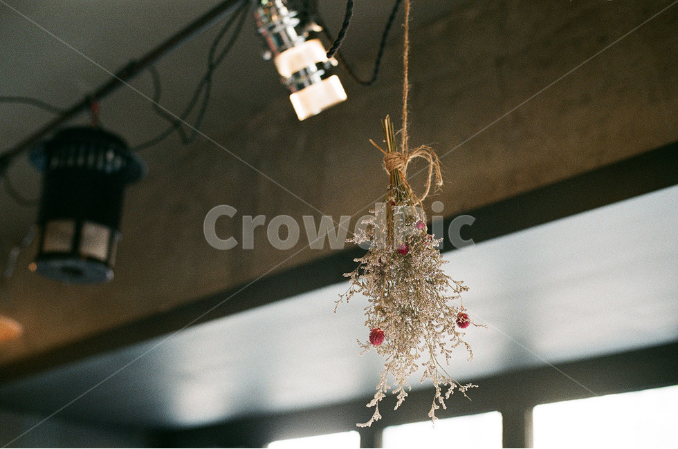 카페,카페사진,감성,감성사진,드라이플라워,조명,꽃,flower,실내용화초,화분,화초,house plant,감성,sensible,feeling,인테리어,실내디자인,interior design