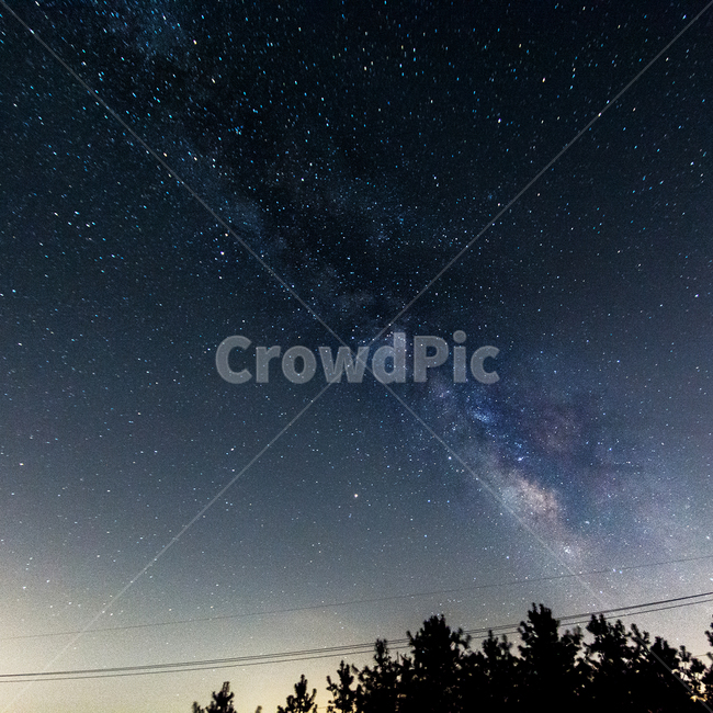 은하수,자연,밤,별,나무,야경,밤,풍경,nightscape,night,landscape,nature,outdoors,옥외