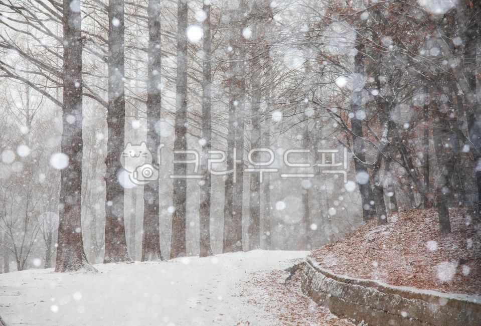road,nature,blizzard,snow,bokeh,winter,metashaquia,trees,snowy day