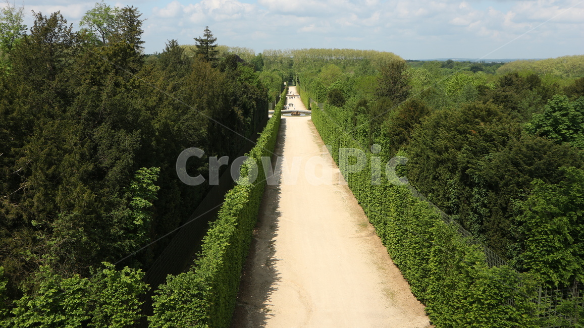 프랑스,여름,풍경,길,계절,자연,풍경,nature,landscape,plant,식물,fence,울타리,hedge,방지책