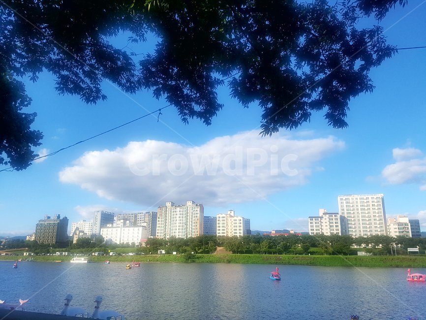 water,물,nature,자연,outdoors,풍경,오리배,경치,강,강가,구름,하늘,여름하늘,가을하늘,나무